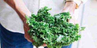 kale cos'è proprietà