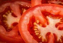 pomodori in frigo corretto