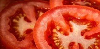 pomodori in frigo corretto