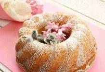 Fluffosa agli agrumi