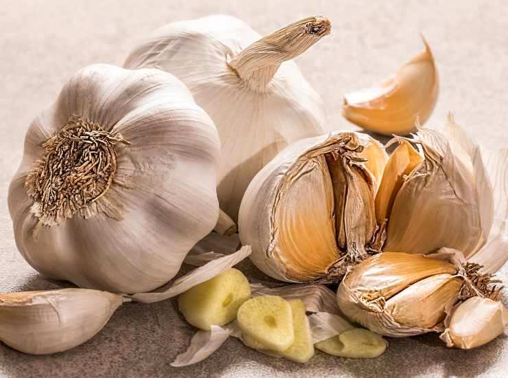 Minestra tiepida di scarola e cannellini ricetta