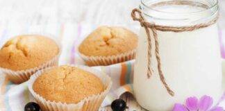 Muffin allo yogurt senza lattosio