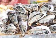 Ostriche, Norovirus in molluschi importati: “Rischio serio” Ostriche Norovirus richiamo alimentare