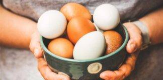 Quante uova a settimana mangiare consigli quantità dosi dieta