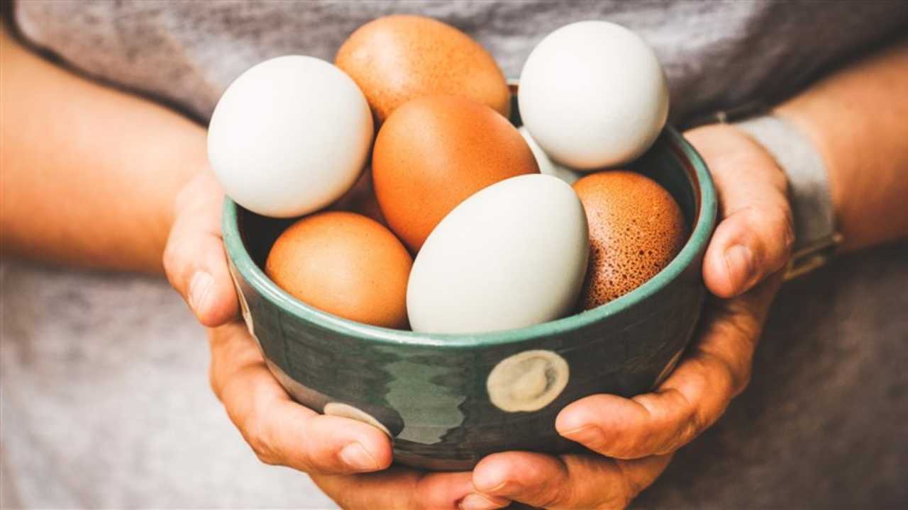 Quante uova a settimana | la misura da mangiare che ci farà bene