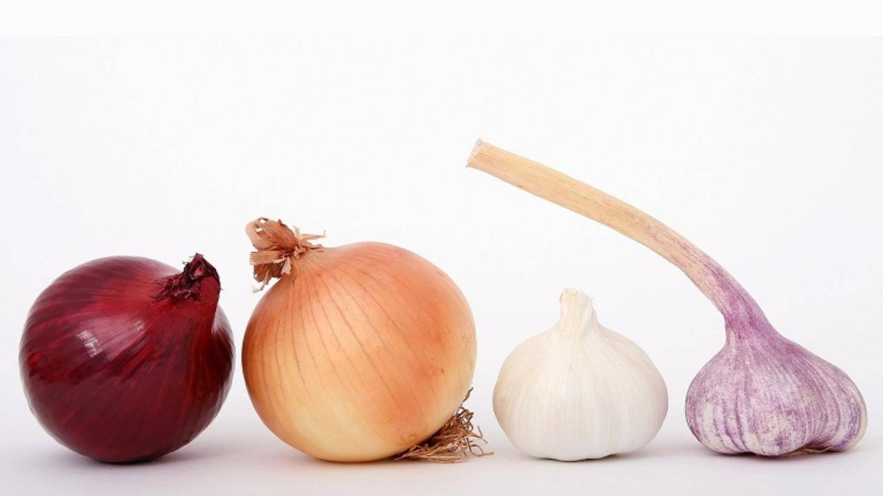 Tipi Di Cipolle Sono Tanti E Buoni Per Ogni Tipo Di Piatto