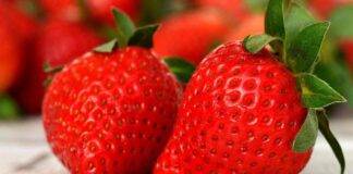 Tipi di fragole Foto dal web