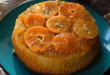 Torta nua all’arancia | Ricetta Bimby per un dolce cremoso e soffice Torta morbida alla frutta