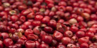 bacche di goji richiamo alimentare