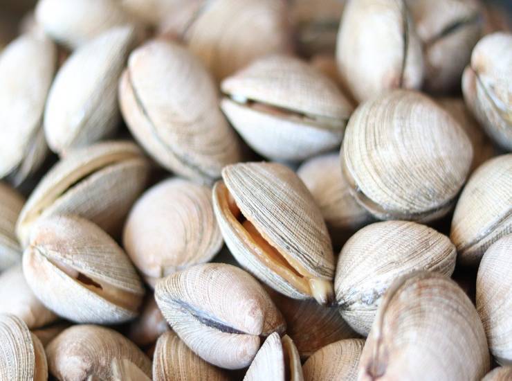 Zuppetta di mare e lenticchie FOTO ricettasprint