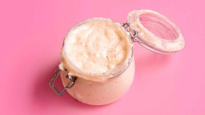 Kit Per Lievito Madre In Vetro - Barattolo 730 Ml Con Termometro, Spatola E Coperchi, Per Fermentazione Pane