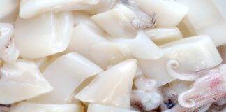 Richiamo alimentare su calamari decongelati