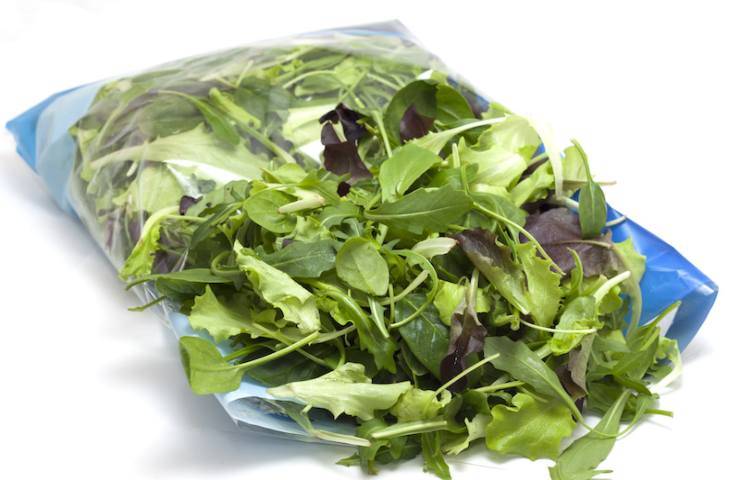Un sacchetto di insalata imbustata (Foto Pixabay - Ricettasprint.it 11122022)