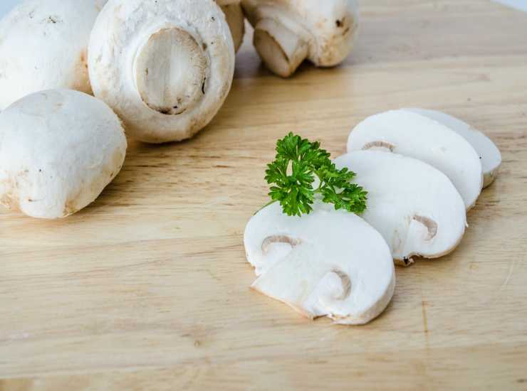 Lasagne ragù e funghi FOTO ricettasprint