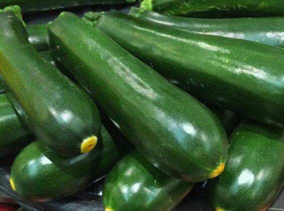Zucchine e pomodori al forno gratinati con la feta | Croccanti e saporite