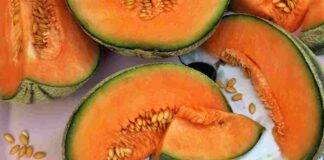 melone calorie