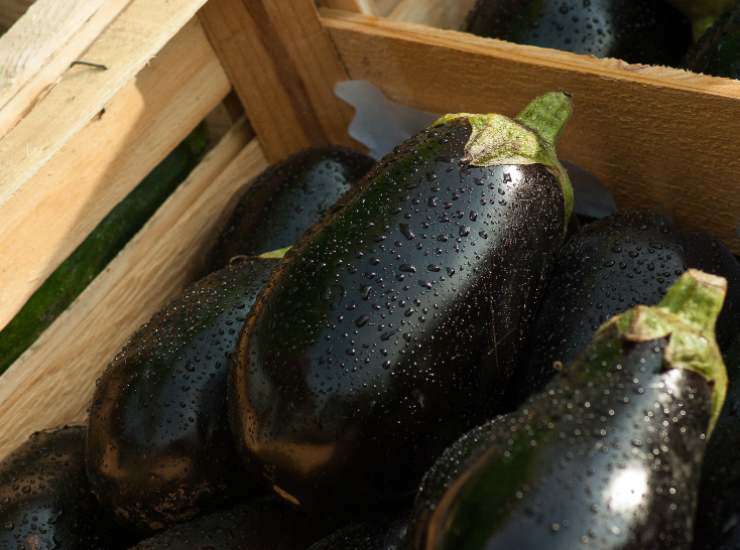 Caponata con peperoni friggitelli e melanzane ricetta