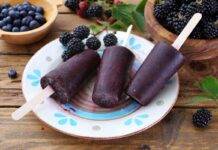ghiaccioli frutti di bosco miele ricetta FOTO ricettasprint