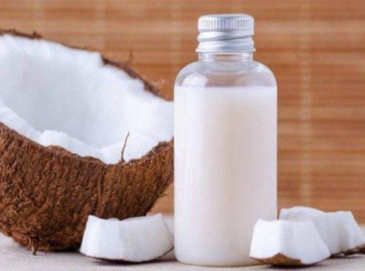 Ghiaccioli al latte di cocco FOTO ricettasprint