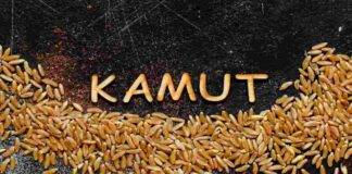 Grano Kamut
