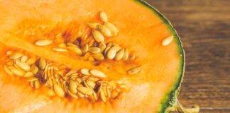 Melone nella dieta quanto è utile