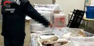 Tonno pinne gialle sequestro