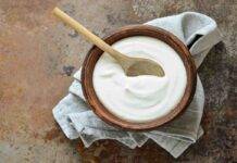 Crema allo yogurt greco senza burro né uova | Pronta in pochi minuti crema yogurt no uova ricetta FOTO ricettasprint