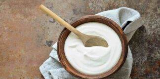 crema yogurt no uova ricetta FOTO ricettasprint