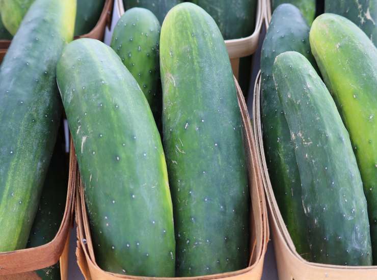 Insalata veloce alla greca ricetta