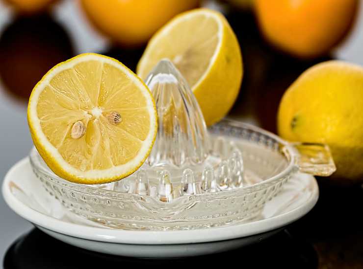 Limoncello gin FOTO ricettasprint