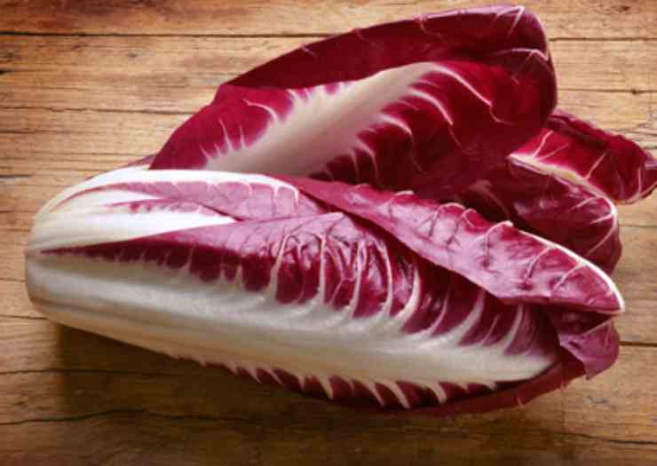 Pasta fredda con radicchio