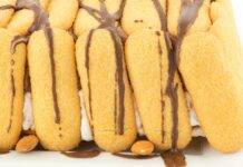 Dolce con biscotti e agrumi