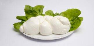 Mozzarella di bufala come conservarla