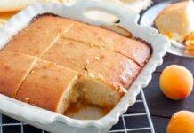 Torta all'albicocca