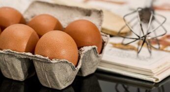 Uova e antibiotici | ci sono dei rischi? | La risposta dell’ISS