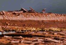 Crostata veloce al doppio cioccolato