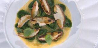 E’ sempre mezzogiorno | Ricetta dello chef Ivano Ricchebono | Cappellacci verdi ai funghi porcini