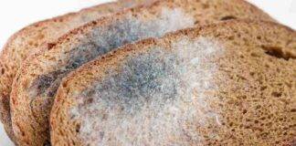 Muffa nel cibo cosa fare