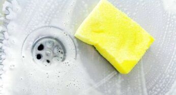 Spugne da cucina | un ricettacolo di batteri | ce ne sono più che nelle feci