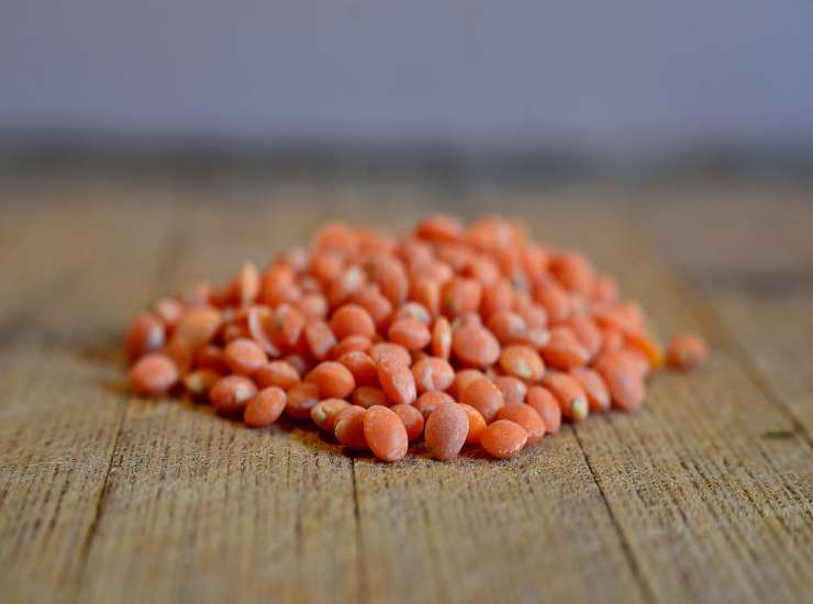 Polpette di lenticchie rosse e spezie FOTO ricettasprint