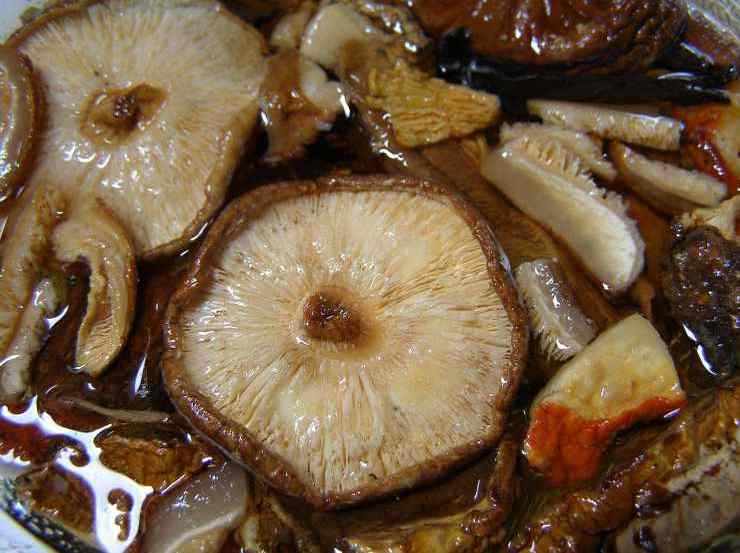 Crema di castagne e funghi