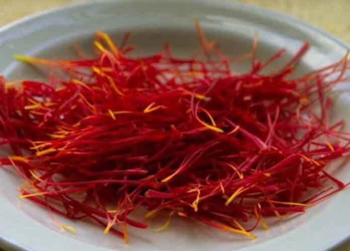 Pasta cremosa alla Tirolese Pronta in 10 minuti eccezionale