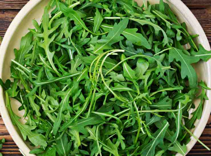 rucola