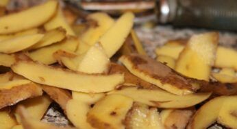 Bucce di patate | non buttarle via | i loro mille riutilizzi