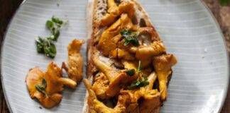 Pane tostato con funghi e crema alle nocciole