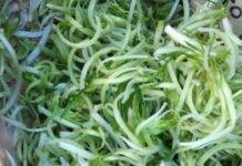 puntarelle pulite e pronte da cucinare