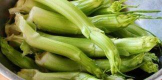 puntarelle