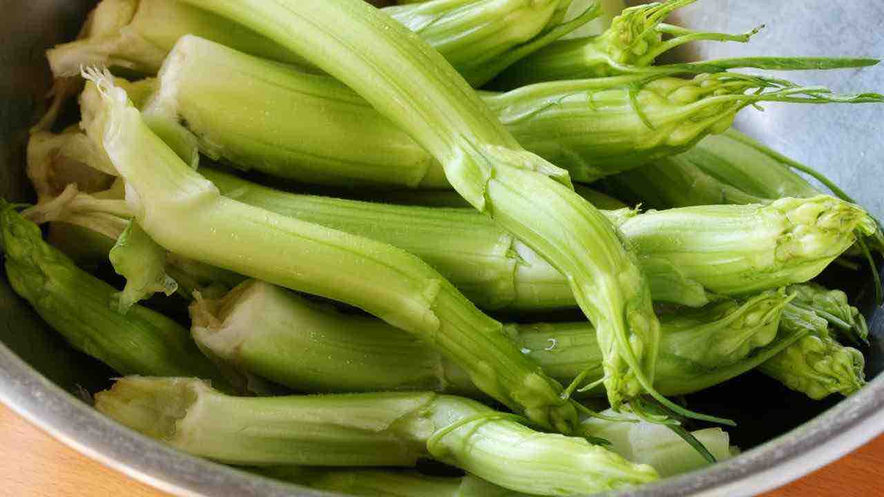 puntarelle