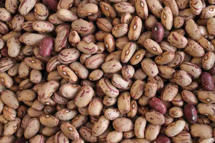 fagioli borlotti