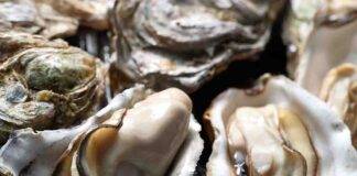 segreti per la giusta conservazione dei frutti di mare